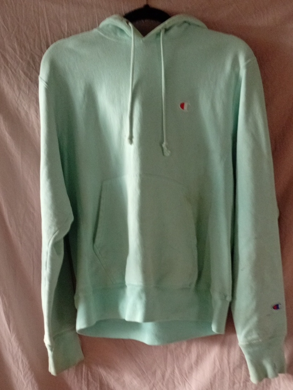 Champion Mint Green Crewneck Hoodie - Men's